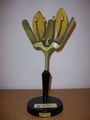 Modell von Acer platanoides (Spitzahorn), Männliche Blüte [Osterloh]