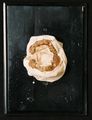 Moulage, Heriditäre Syphilis atypisch (Gebiss/Mundhöhle), 15,5x21x5 cm