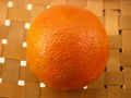 Modell der Frucht von Citrus sinensis (Nabelorange) (8,5 x 8,5 x 8,5 cm)