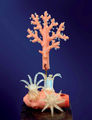 Modell von Corallium rubrum (Rote Edelkoralle) [Blaschka]