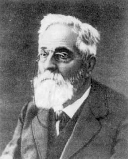 Heinrich Weber (1842-1913)