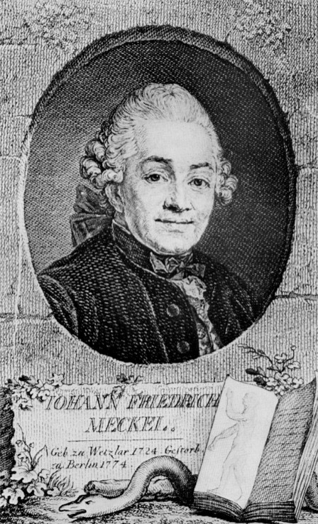 Johann Friedrich Meckel <senior> (1714-1774)