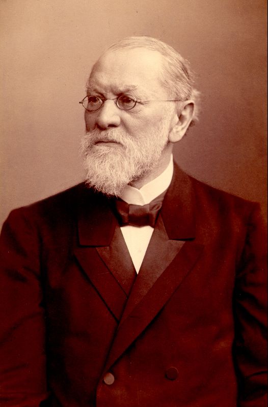 Nathanael Pringsheim (1823-1894)